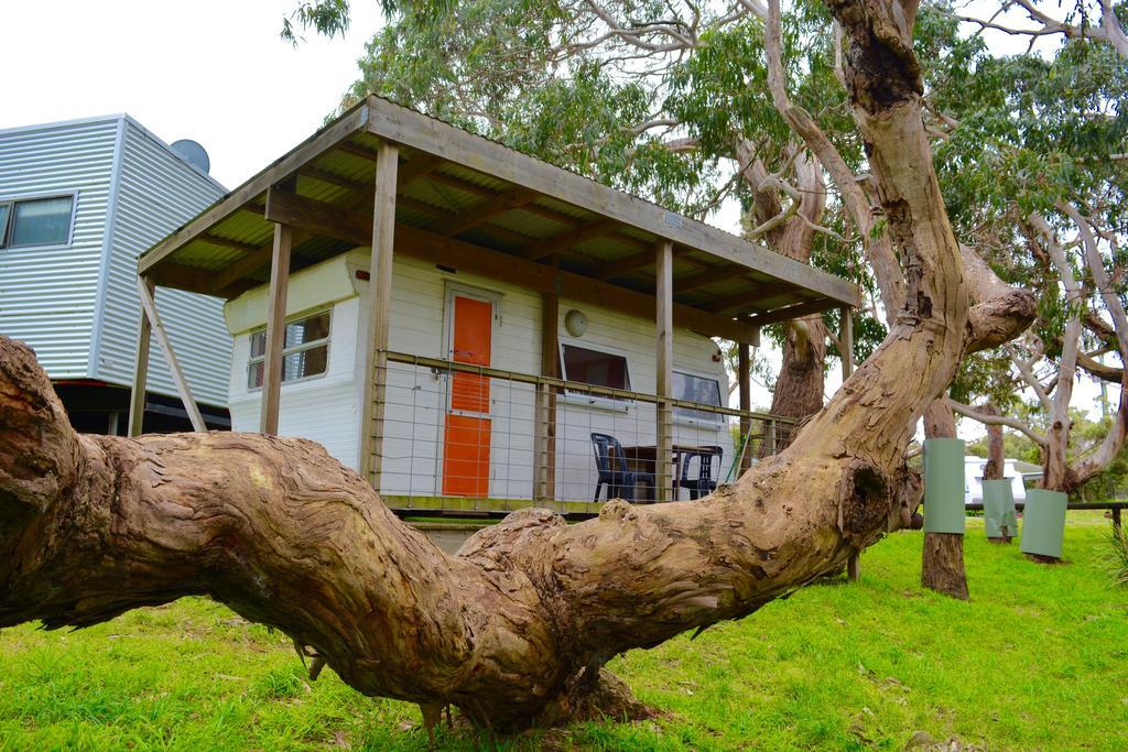 Bimbi Park - Camping Under Koalas เคป ออตเวย์ ภายนอก รูปภาพ