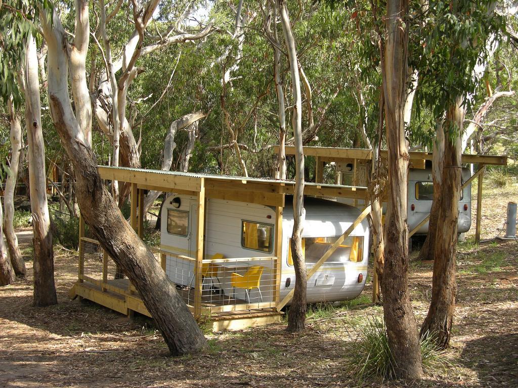 Bimbi Park - Camping Under Koalas เคป ออตเวย์ ภายนอก รูปภาพ